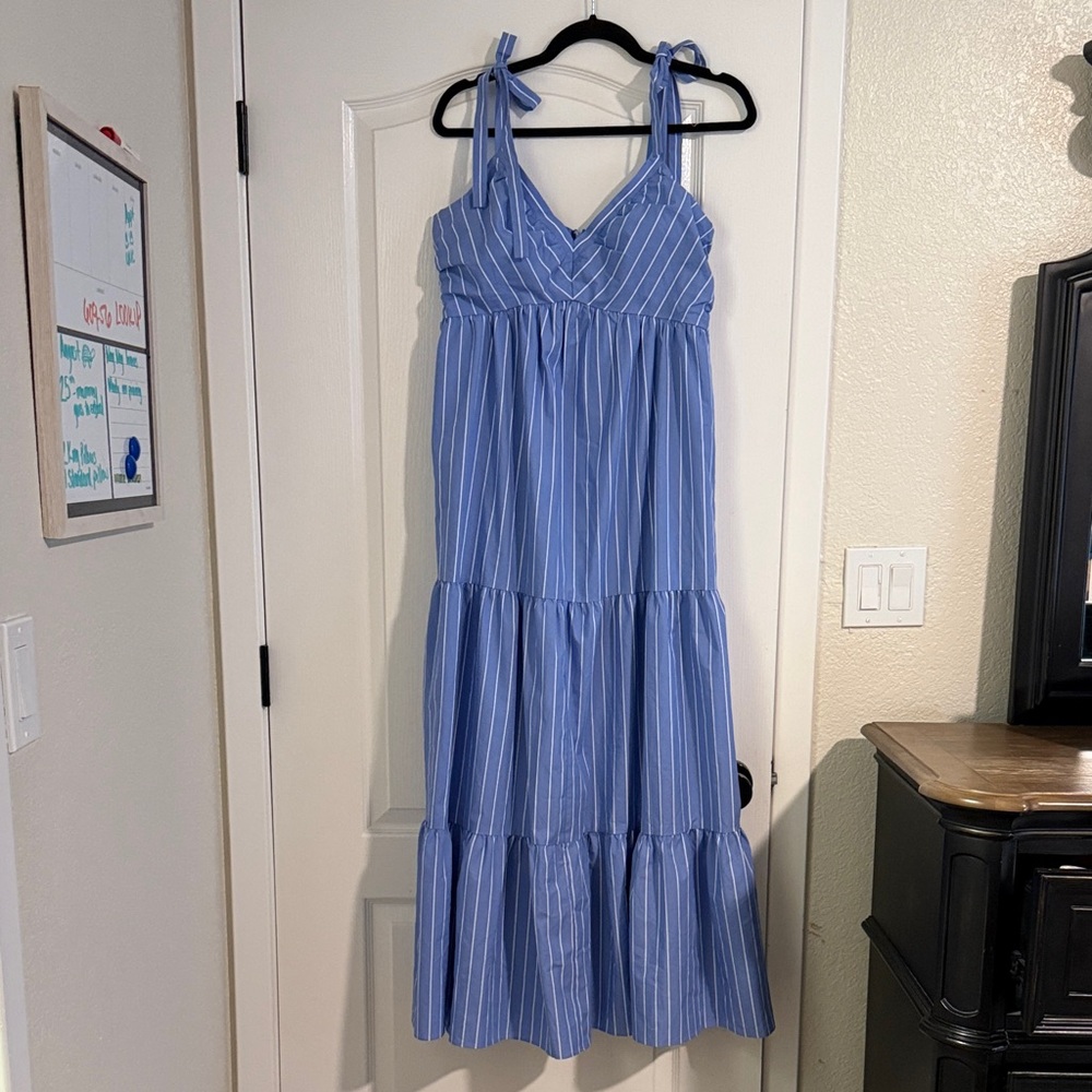 Express Blue and White Striped Maxi Dress